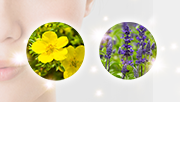 うっとりツヤ肌をつくる 2つの強み