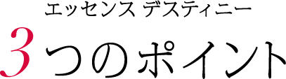 エッセンス デスティニー 3つのポイント