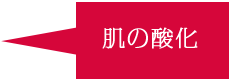 肌の酸化