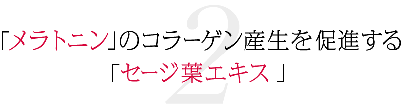 「メラトニン」のコラーゲン産生を促進する「セージ葉エキス」