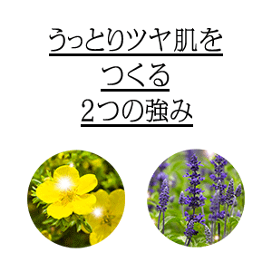 うっとりツヤ肌をつくる２つの強み