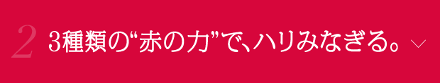 2. 3種類の“赤の力”で、ハリみなぎる。