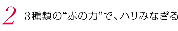 2. 3種類の“赤の力”で、ハリみなぎる。