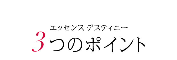 エッセンス デスティニー 3つのポイント 