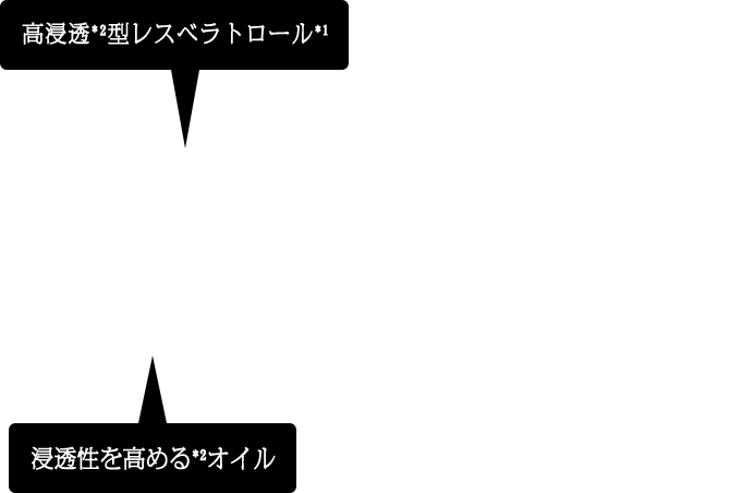 高浸透型レスベラトロール 浸透性を高めるオイル