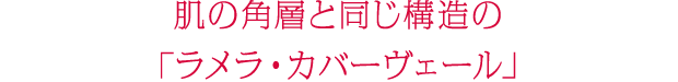 肌の角質と同じ構造の「ラメラストレッチ処方」