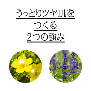 うっとりツヤ肌をつくる２つの強み