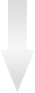 光