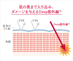 肌の奥まで入り込み、ダメージを与えるDeep-UVA
