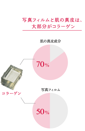 写真フィルムと肌の真皮は、大部分がコラーゲン