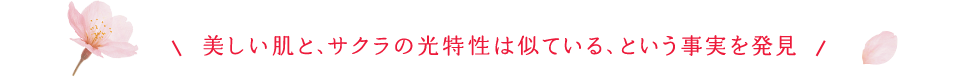 美しい肌と、サクラの光特性は似ている、という事実を発見