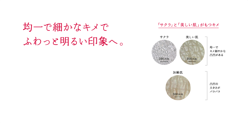 均一で細かなキメでふわっと明るい印象へ。