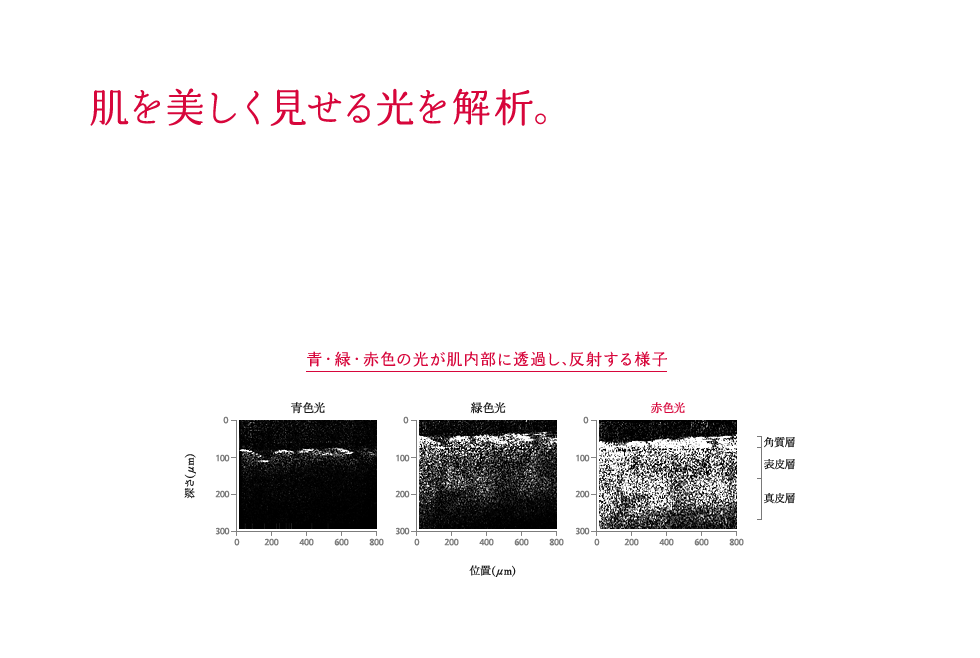 肌を美しく見せる光を解析。