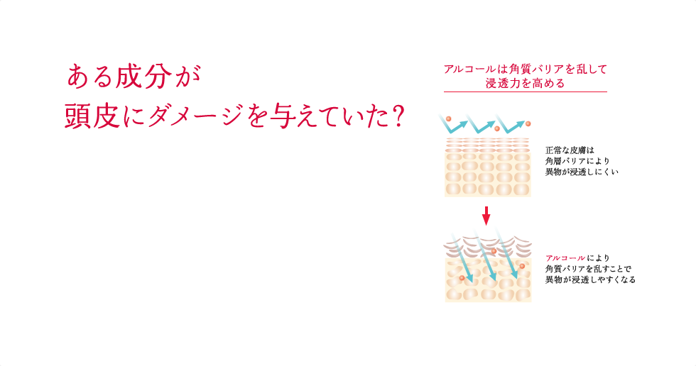 ある成分が頭皮にダメージを与えていた？