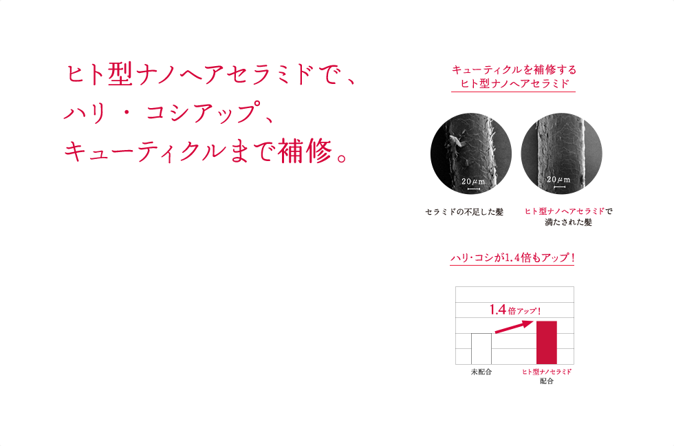ヒト型ナノヘアセラミドで、ハリ・コシアップ、キューティクルまで補修。