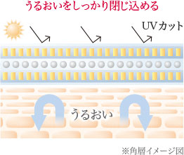 うるおいをしっかり閉じ込める。