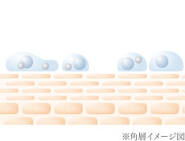 角層イメージ図