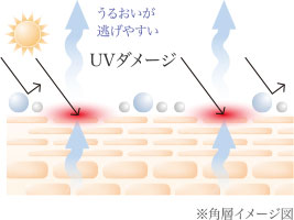 UVダメージ
