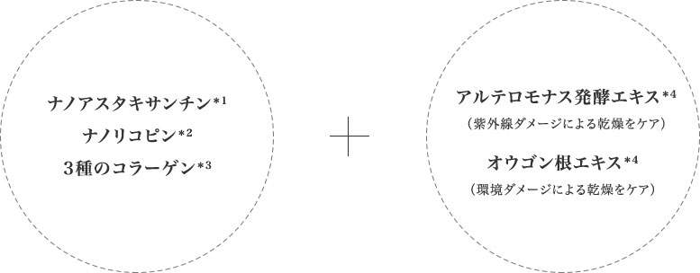 ナノアスタキサンチン＊1 ナノリコピン＊2 3種のコラーゲン＊3 - アルテロモナス発酵エキス＊4 （紫外線ダメージによる乾燥をケア） オウゴン根エキス＊4 （環境ダメージによる乾燥をケア）