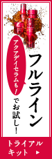 アクアデイセラムも！フルラインでお試し！ トライアルキット