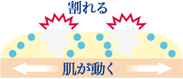 「ストレッチUVシールド＊4」を形成しない処方（当社従来品）