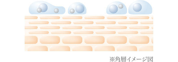 角層イメージ図