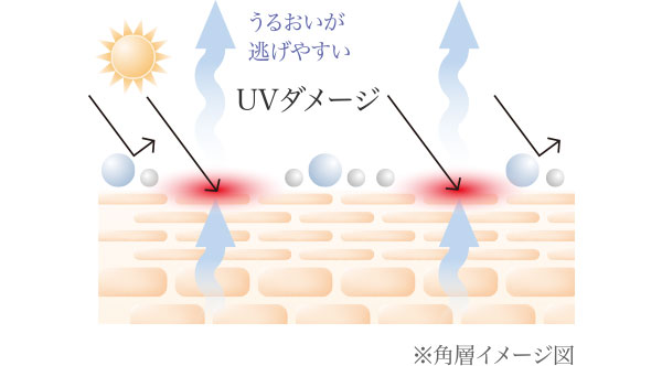 UVダメージ
