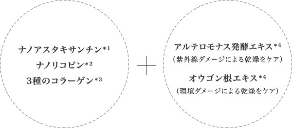 ナノアスタキサンチン＊1 ナノリコピン＊2 3種のコラーゲン＊3 - アルテロモナス発酵エキス＊4 （紫外線ダメージによる乾燥をケア） オウゴン根エキス＊4 （環境ダメージによる乾燥をケア）