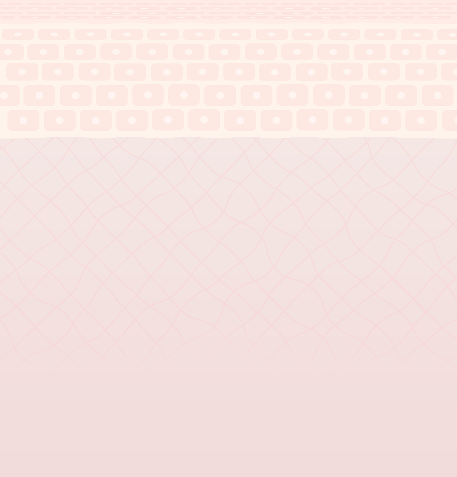 肌