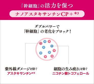 「幹細胞」の活力を保つナノアスタキサンチンCP＋＊3