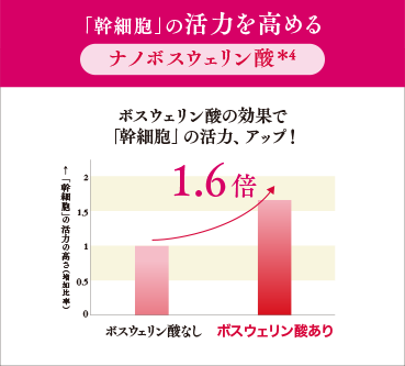 「幹細胞」の活力を高めるナノボスウェリン酸＊4