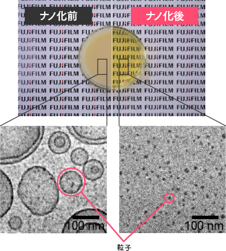 ナノ化していないボスウェリン酸(左)と当社独自技術で開発した「ナノボスウェリン酸」(右)