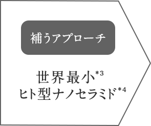 補うアプローチ 世界最小  ヒト型ナノセラミド