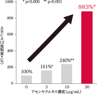 「アセンヤクエキス」のパワーで「セラミドトランスポーター（ABCA12）」の産生が8倍に!!
