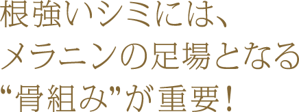 根強いシミには、 メラニンの足場となる “骨組み”が重要！