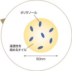 オリザノールと浸透性を高めるオイル