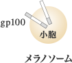 メラノソーム