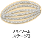 メラノソーム