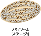 メラノソーム