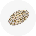 メラニン蓄積