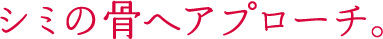 シミの骨へアプローチ。