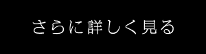 さらに詳しく見る