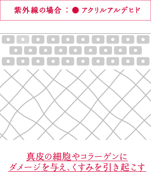 紫外線の場合:アクリルアルデヒド 真皮の細胞やコラーゲンに ダメージを与え、くすみを引き起こす 