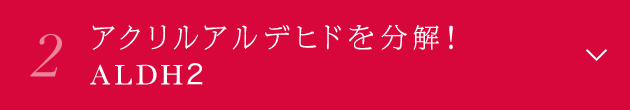 2. くすみアルデヒドを分解！ALDH2