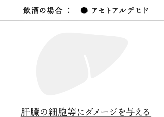 飲酒の場合:アセトアルデヒド 肝臓の細胞等にダメージを与える