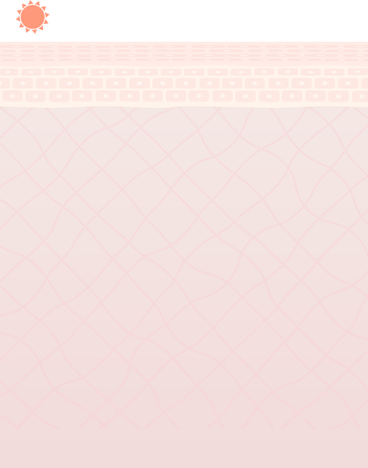 肌