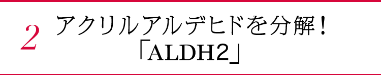 2. アクリルアルデヒドを分解！「ALDH2」