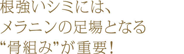 根強いシミには、 メラニンの足場となる “骨組み”が重要！