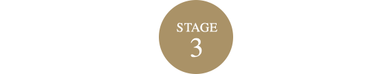 Stage3